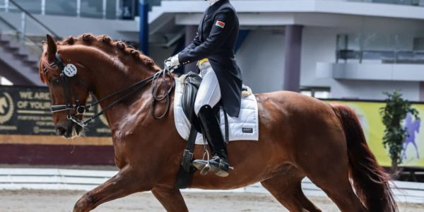 Чемпионат РБ по выездке