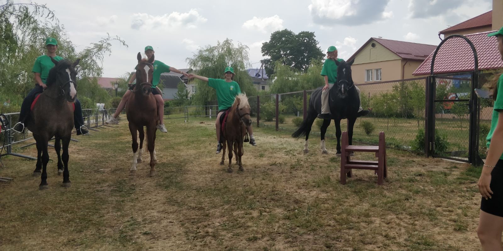 Конный спорт проект